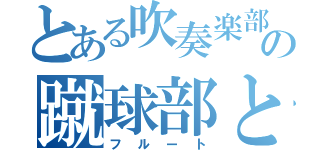 とある吹奏楽部の蹴球部との恋（フルート）