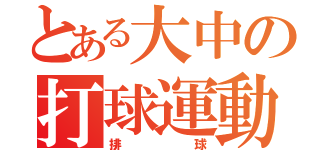 とある大中の打球運動（排球）