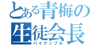 とある青梅の生徒会長（パイナップル）