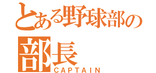 とある野球部の部長（ＣＡＰＴＡＩＮ）