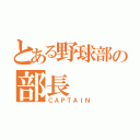 とある野球部の部長（ＣＡＰＴＡＩＮ）