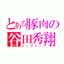 とある豚肉の谷田秀翔（ピッグマン）