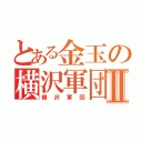 とある金玉の横沢軍団Ⅱ（横沢軍団）