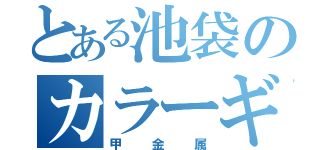 とある池袋のカラーギャング（甲金属）