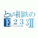 とある相鉄のＥ２３３Ⅱ（１１０００系）