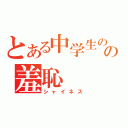 とある中学生のの羞恥（シャイネス）