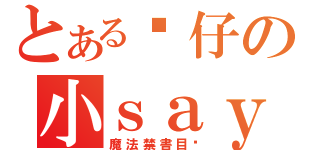 とある傻仔の小ｓａｙ（魔法禁書目錄）