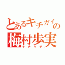 とあるキチガイの梅村歩実（キチキチ）