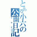 とある小六の公開日記（ブログ）