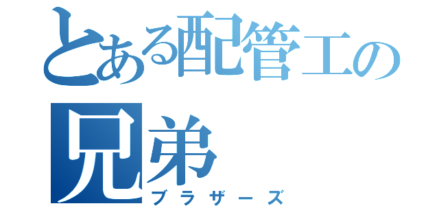 とある配管工の兄弟（ブラザーズ）