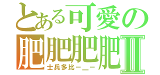 とある可愛の肥肥肥肥肥肥Ⅱ（士兵多比－＿－）