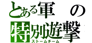 とある軍の特別遊撃隊（ストームチーム）