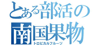 とある部活の南国果物（トロピカルフルーツ）