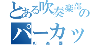 とある吹奏楽部のパーカッション（打楽器）