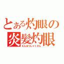 とある灼眼の炎髪灼眼（えんぱつしゃくがん）