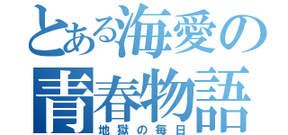 とある海愛の青春物語（地獄の毎日）