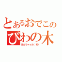 とあるおでこのびわの木（生えちゃった（笑））