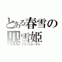 とある春雪の黒雪姫（ブラックロータス）