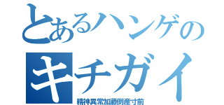 とあるハンゲのキチガイサイト（精神異常加藤倒産寸前）