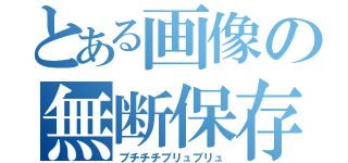 とある画像の無断保存（ブチチチブリュブリュ）