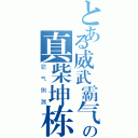 とある威武霸气の真柴坤栋（霸气侧漏）