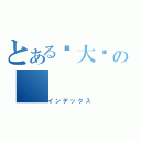 とある潇大傻の（インデックス）