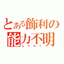 とある飾利の能力不明（レベル１）