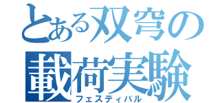 とある双穹の載荷実験（フェスティバル）