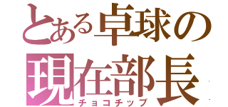 とある卓球の現在部長（チョコチップ）