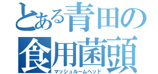 とある青田の食用菌頭（マッシュルームヘッド）