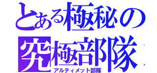 とある極秘の究極部隊（アルティメット部隊）