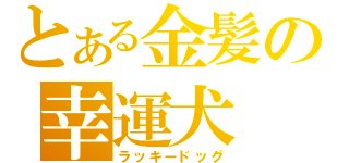 とある金髪の幸運犬（ラッキードッグ）