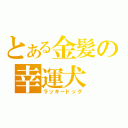 とある金髪の幸運犬（ラッキードッグ）