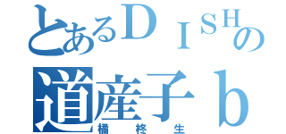 とあるＤＩＳＨ／／の道産子ｂｏｙ（橘柊生）