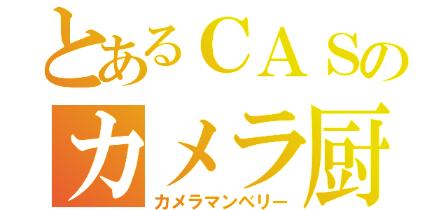 とあるＣＡＳのカメラ厨（カメラマンベリー）