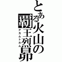 とある火山の覇王烈昴（アカムトルム）