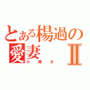 とある楊過の愛妻Ⅱ（小龍女）