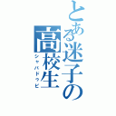 とある迷子の高校生（シャバドゥビ）