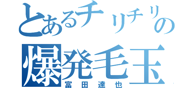 とあるチリチリの爆発毛玉（富田達也）