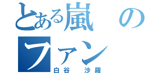 とある嵐のファン（白谷 沙羅）