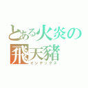 とある火炎の飛天豬（インデックス）