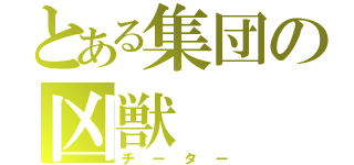 とある集団の凶獣（チーター）