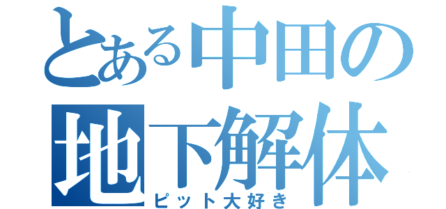 とある中田の地下解体（ピット大好き）