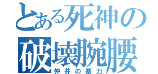 とある死神の破壊腕腰（仲井の暴力）