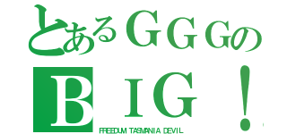 とあるＧＧＧのＢＩＧ！（ＦＲＥＥＤＵＭ　ＴＡＳＭＡＮＩＡ　ＤＥＶＩＬ）