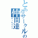 とあるサークルの仲間達（チームメイト）