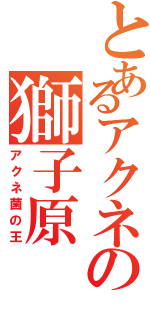 とあるアクネの獅子原Ⅱ（アクネ菌の王）