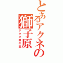 とあるアクネの獅子原Ⅱ（アクネ菌の王）