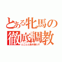 とある牝馬の徹底調教（とことん責め馴らす）