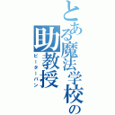 とある魔法学校の助教授（ピーターパン）